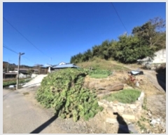  2024Ÿ38935 泲 ֽ ̸ ฮ 481      (Ӿ)