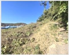  2024Ÿ38935 泲 ֽ ̸ ฮ 481      (Ӿ)