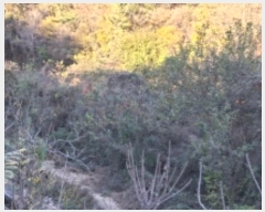  2024Ÿ38935 泲 ֽ ̸ ฮ 481      (Ӿ)