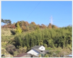  2024Ÿ38935 泲 ֽ ̸ ฮ 481      (Ӿ)