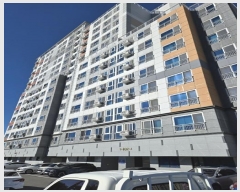  2024Ÿ39099 泲 õ ߾ӷ 238, 8802ȣ (밭,溧νڶ)     Ʈ