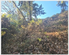  2024Ÿ39433 泲 õ   85      (Ӿ)