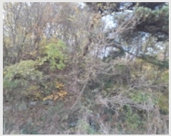  2024Ÿ39433 泲 õ   85      (Ӿ)