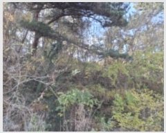  2024Ÿ39433 泲 õ   85      (Ӿ)