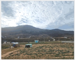  2024Ÿ��39938 �泲 ���ر� ���ָ� ���ָ� 1570-2      ����(��1)���