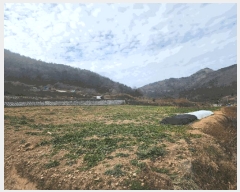  2024Ÿ��39938 �泲 ���ر� ���ָ� ���ָ� 1570-2      ����(��1)���