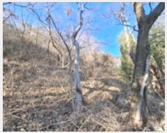  2024Ÿ��40235 �泲 ���ر� ���ָ� ��Ƹ� 631      ����(��1)���