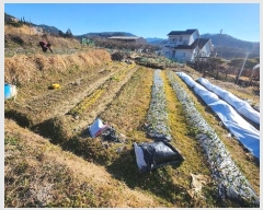  2024Ÿ��40457 �泲 ��õ�� ��õ�� ���ϸ� 1072-10      ����(��1)���