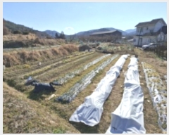  2024Ÿ��40457 �泲 ��õ�� ��õ�� ���ϸ� 1072-10      ����(��1)���