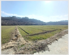  2024Ÿ��459  �����