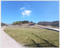  2024Ÿ��459  �����