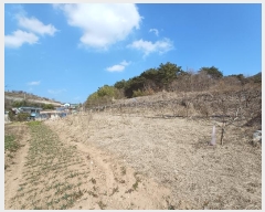  2024Ÿ��459  �����