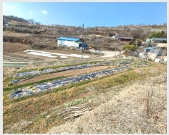  2024Ÿ��459  �����