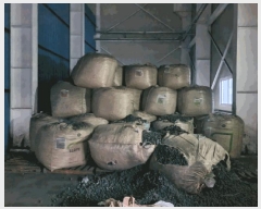  2024Ÿ1025 泲 õ   88-1      ,â