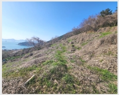  2024Ÿ��1575 �泲 ���ر� ���� ������ 464-2      ����(��1)���