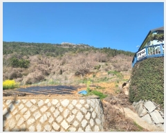  2024Ÿ��1575 �泲 ���ر� ���� ������ 464-2      ����(��1)���