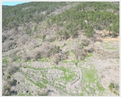  2024Ÿ��1575 �泲 ���ر� ���� ������ 464-2      ����(��1)���