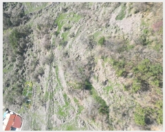  2024Ÿ��1575 �泲 ���ر� ���� ������ 464-2      ����(��1)���