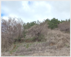  2024Ÿ��1575 �泲 ���ر� ���� ������ 464-2      ����(��1)���