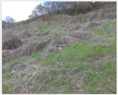  2024Ÿ��1575 �泲 ���ر� ���� ������ 464-2      ����(��1)���