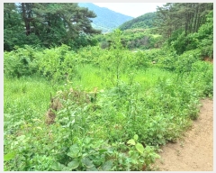  2024Ÿ2592 泲 û   344      (1)