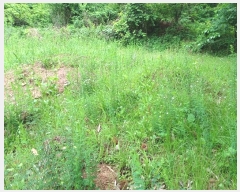  2024Ÿ2592 泲 û   344      (1)