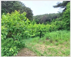  2024Ÿ2592 泲 û   344      (1)