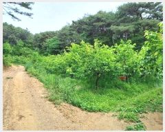  2024Ÿ2592 泲 û   344      (1)