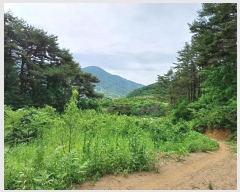  2024Ÿ2592 泲 û   344      (1)