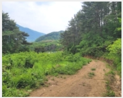  2024Ÿ2592 泲 û   344      (1)