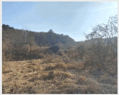  2024Ÿ��3946  ����