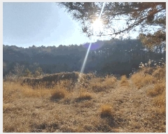  2024Ÿ��3946  ����