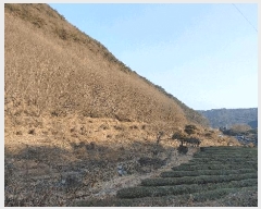  2024Ÿ��3946  ����