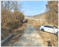  2024Ÿ��3946  ����