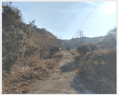  2024Ÿ��3946  ����