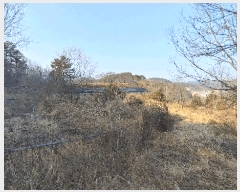  2024Ÿ��3946  ����