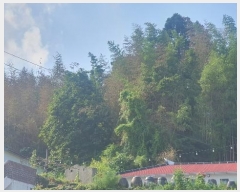  2024Ÿ��4277  �����