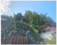  2024Ÿ��4277  �����