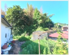  2024Ÿ��4277  �����