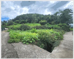  2024Ÿ4772 泲 ر â ׸ 532      (1)