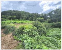  2024Ÿ4772 泲 ر â ׸ 532      (1)