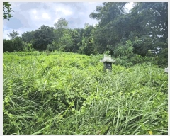  2024Ÿ4772 泲 ر â ׸ 532      (1)