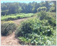  2024Ÿ4772 泲 ر â ׸ 532      (1)