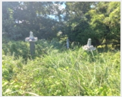  2024Ÿ4772 泲 ر â ׸ 532      (1)