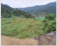  2024Ÿ��5454  ����