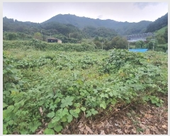  2024Ÿ��5454  ����