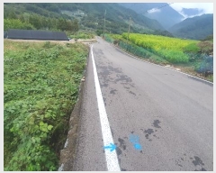  2024Ÿ��5454  ����