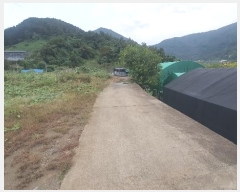  2024Ÿ��5454  ����