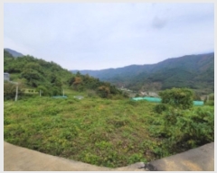  2024Ÿ��5454  ����