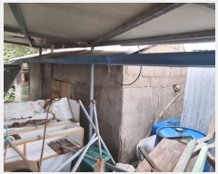  2024Ÿ��5553  ���ð��